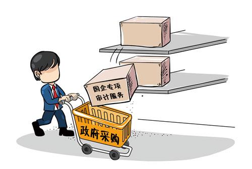 政府采购审计
