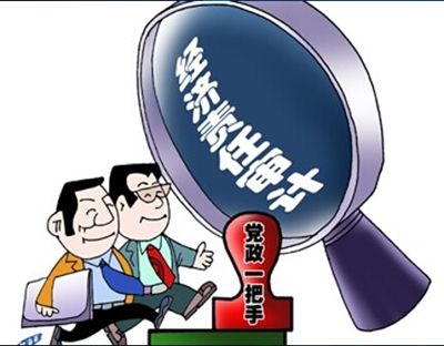 经济责任（离任）审计